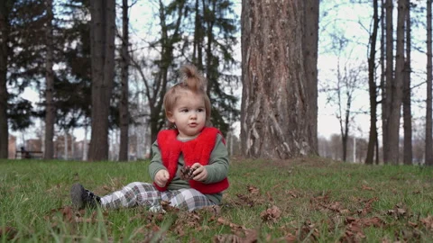 Toddler Holding Pine Cone Sitting in Park Serbia Stock Footage 331034493