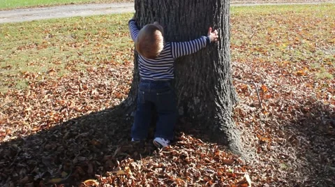 Toddler hugging a tree Stock Footage 44447774