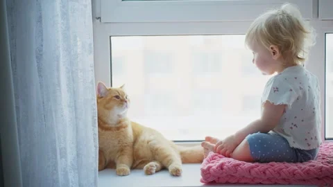 Toddler interacts with friendly cat on a sunny windowsill Stock Footage 307135509