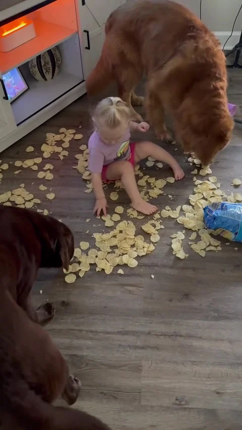 Toddler Makes a Mess Behind Mom's Back, Saraland, Alabama, USA - 21 Aug 2025 Stock Footage 315533722