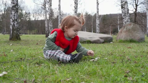 Toddler Picking Flowers While Sitting on Grass in Park Serbia Stock Footage 331034002