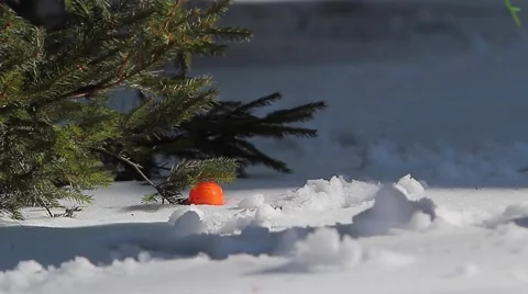 Toddler picks up easter egg Stock Footage 62946048