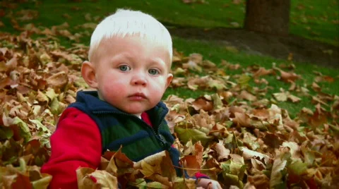 Toddler Playing in Fall Leaves 2 動画素材 581254