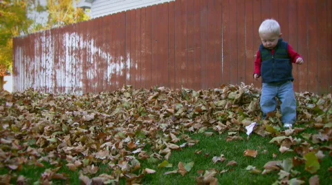 Toddler Playing in Fall Leaves 2 動画素材 581291