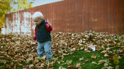 Toddler Playing in Fall Leaves 3 動画素材 581259