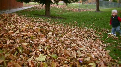 Toddler Playing in Fall Leaves 4 動画素材 581273