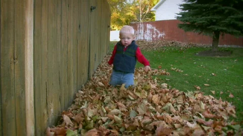 Toddler Playing in Fall Leaves 動画素材 581289