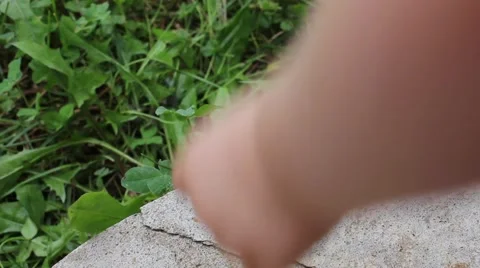 Toddler playing with grass Stock Footage 41737385