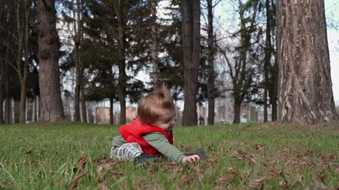 Toddler Playing with Pine Cones While Sitting in Park Serbia Stock Footage 331034596