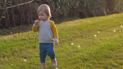 Toddler Playing Sunlit Meadow Stock Footage 296146626
