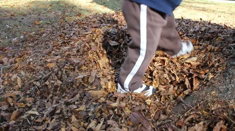 Toddler plays in leaves in the Fall Stock Footage 44447599