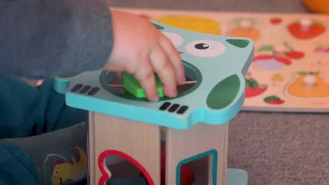 Toddler Putting Multiple Blocks Into Owl Shape Sorter With Camera Tilting Down Stock Footage 329369188