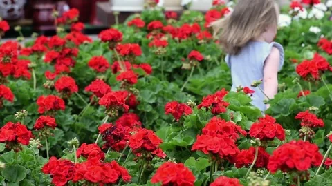 Toddler running through spring flowers blooming Stock Footage 75813700