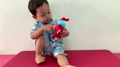 Toddler sitting and playing with a plush toy Stock Footage 341914143