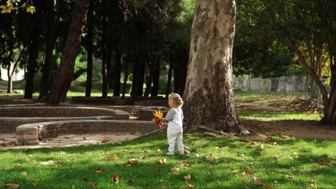 Toddler standing by tree in park, surrounded by grass and nature Stock Footage 270249787