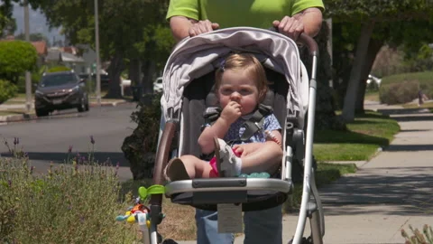 Toddler in Stroller Video stock 148792427