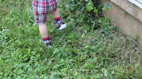 Toddler stumbles on long grass while walking through yard Stock Footage 44445907