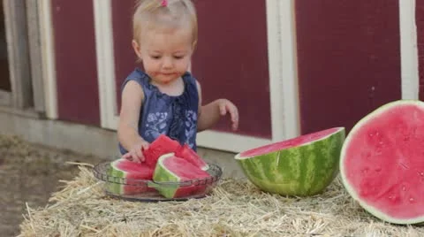 Toddler takes watermelon slice Stock-Footage 12451871