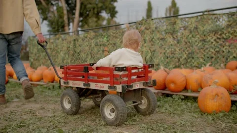 Toddler in wagon at pumpkin patch, father and daughter 库存影片 219405226