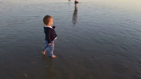 Toddler Walking On The Beach During Sunset Video stock 75773971