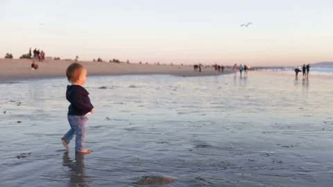Toddler Walking On Beach During Sunset With Seagulls In Background Stock Footage 75774043