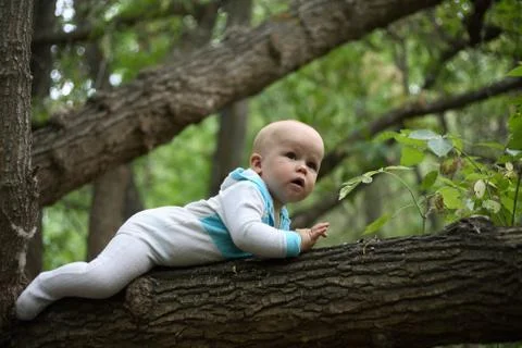 Toddler walking on a tree Stock Photos