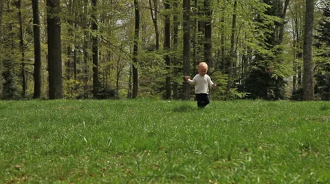 Toddler walks from the forest Stock Footage 23138985