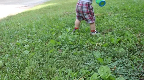 Toddler walks through a yard Stock Footage 44445889