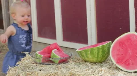 Toddler watermelon play Stock-Footage 12451977