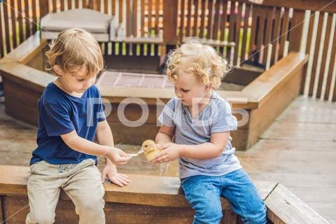Toddlers girl and boy playing with the ducklings in the petting zoo Stock Photos