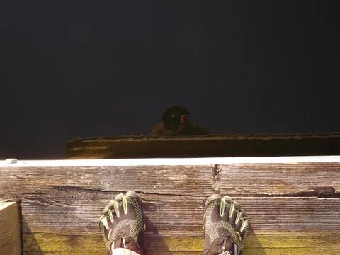 Toe Shoes Stock Photos