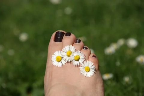 Toes with daisies Stockfoto's