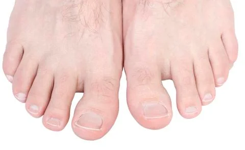 Toes. Stock Photos