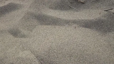 Toes in sand Video stock 42171145
