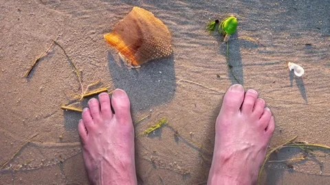 Toes in The Sand Video stock 148950843