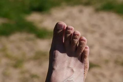 Toes in the sand 库存照片