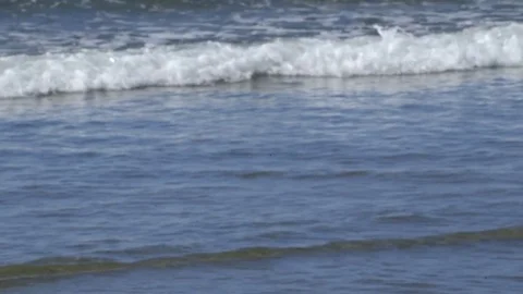 Toffino - BC - Beach Stock Footage 81206137