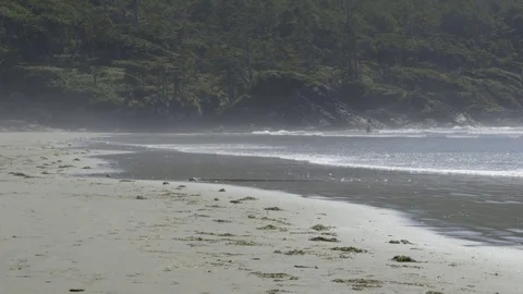 Toffino - BC - Beach Stock Footage 81206424