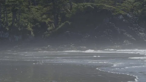 Toffino - BC - Beach Stock Footage 81206529