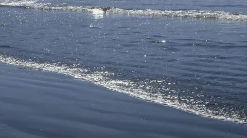 Toffino - BC - Beach Stock Footage 81206600