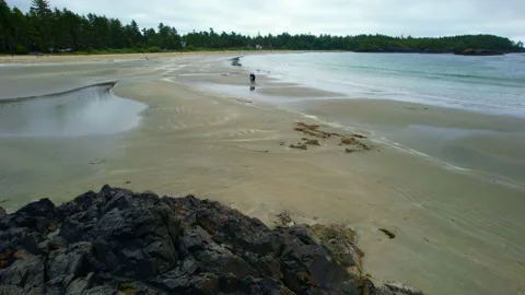 Tofino Stock Footage 219346573