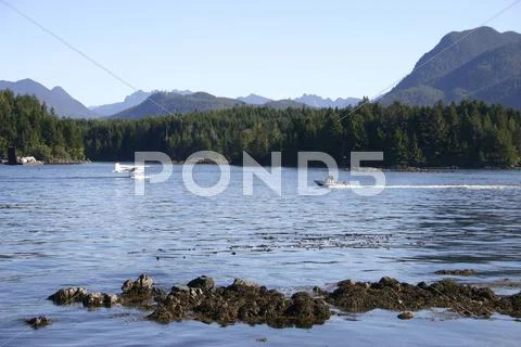 Tofino Plane Stock Photos