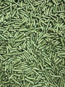 Tofu Litter Pellets pattern in green palette. Pieces of Biodegradable Fast Dr 스톡 사진