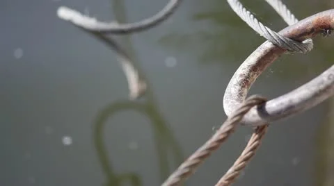 Together forever Stock Footage 11464055