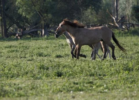 Together Stock Photos