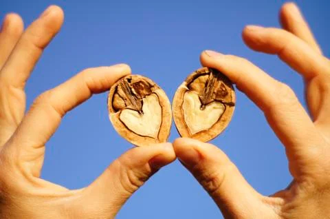 Together Stock Photos