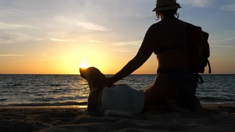 Together at  sunset time Stock Footage 97784304