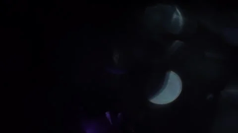 Toggle colored bokeh on and off from close-up Stock Footage 315539736