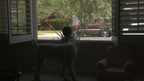 Toiddler looks out window Video stock 148791650