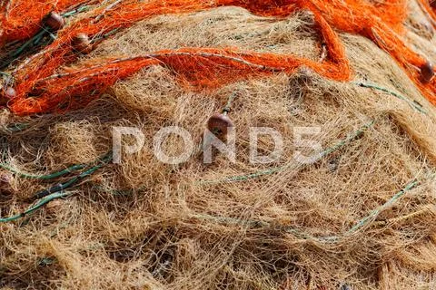 Toil on the coast Stock Photos